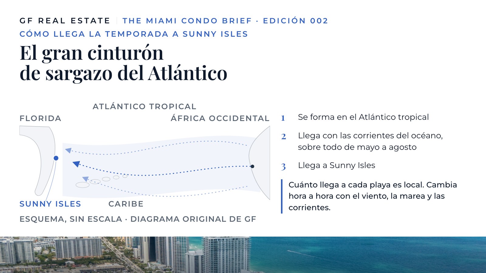 Esquema original de GF titulado El Gran Cinturón de Sargazo del Atlántico. Conceptual, sin escala. Una banda se forma en el Atlántico tropical entre África occidental y el Caribe, y varias trayectorias aproximadas hacia el oeste la llevan más allá del Caribe, hacia la Florida y Sunny Isles. Tres pasos indican: se forma en el Atlántico tropical; las corrientes oceánicas la llevan hacia el oeste, aproximadamente de mayo a agosto; llega a Sunny Isles. Una nota aclara que cuánto cae en cada playa es local y cambia hora a hora según el viento, la marea y las corrientes.